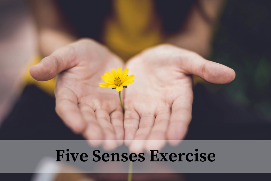 five senses exercise